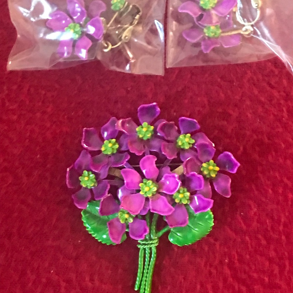 Vintage enamel pin and earring set
